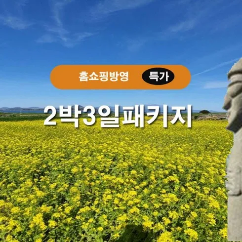 제주도 3박 4일 패키지 할인 꿀팁