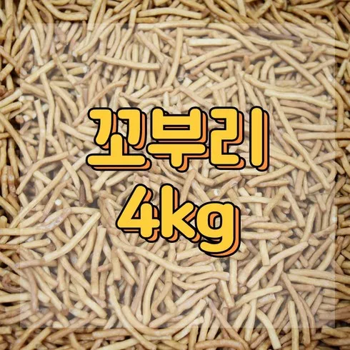 까불이오란다 인기순위 지금 확인